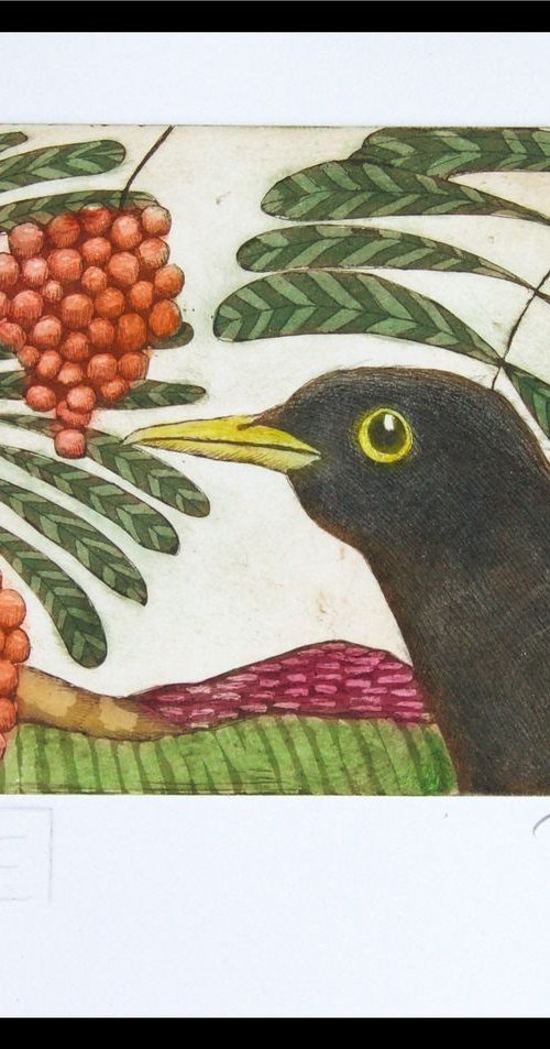 Blackbird and Rowan by Mariann Johansen-Ellis