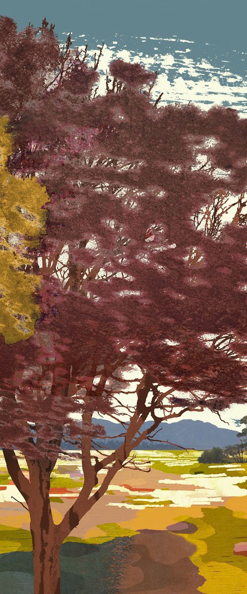 Shadow Trees by Claire Gill