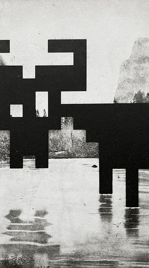 The Water Buffalo by Jaco Putker