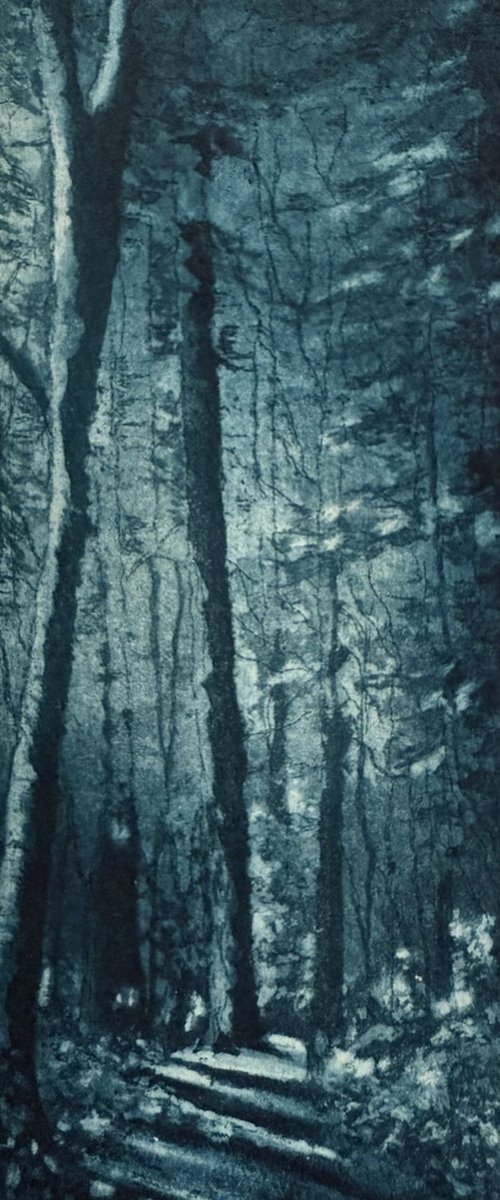 The Hermitage by Rebecca Denton