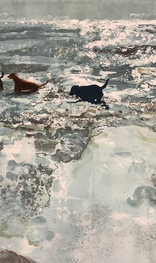 Doggy paddle by Amanda Averillo