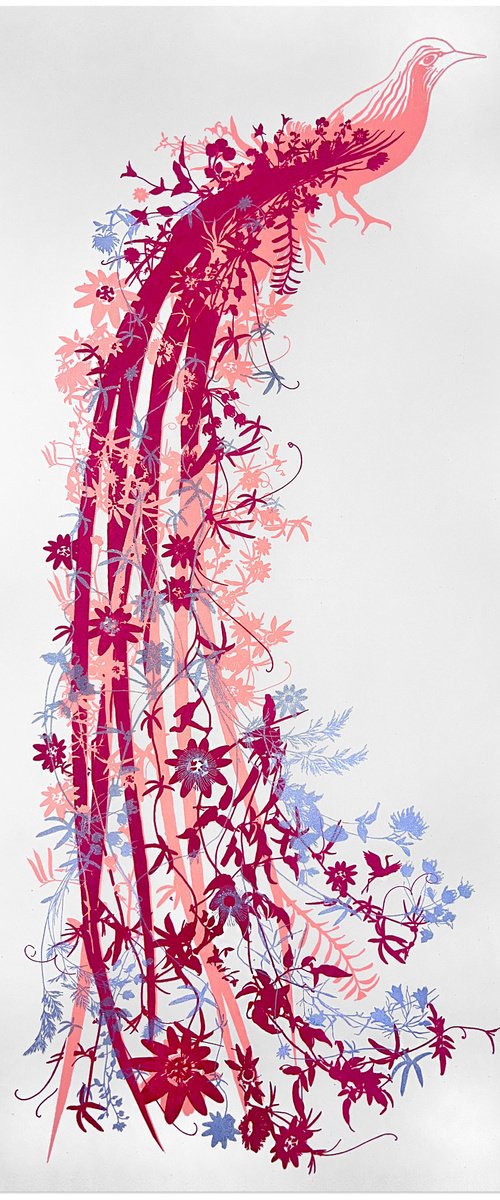 Bird of Paradise by Chris Keegan