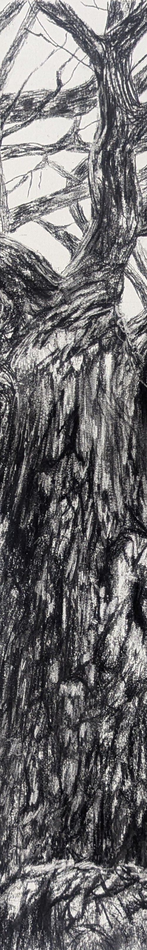 Sheltered by Sophie Adair