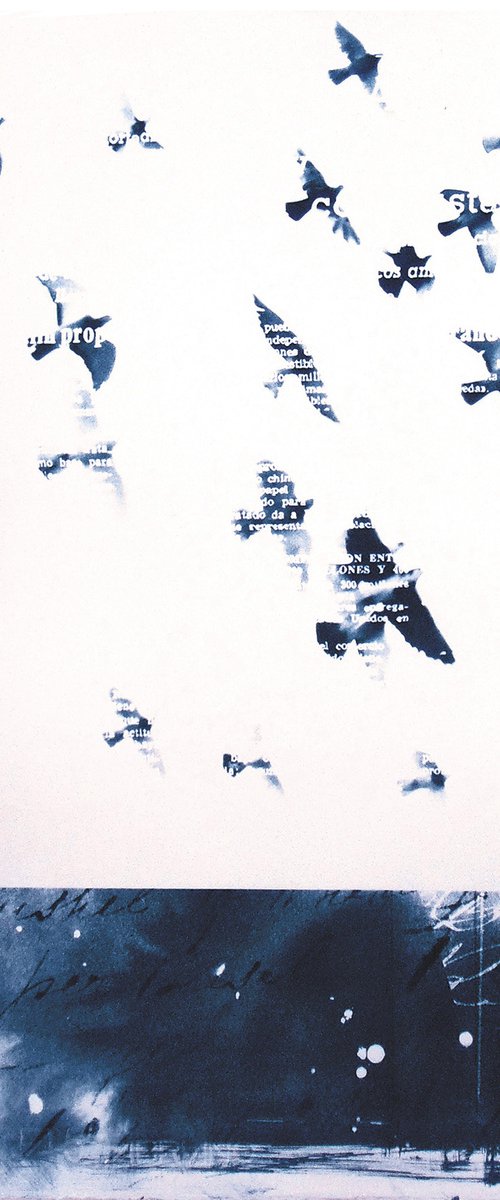 Cyanotype 03 Birds by Manel Villalonga