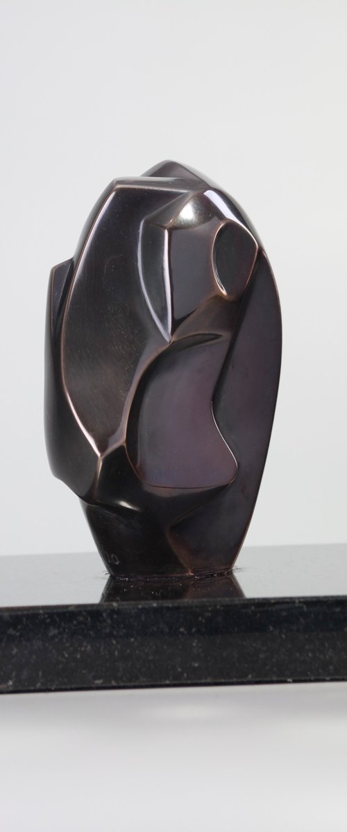 THE BIRD by Mircea Puscas