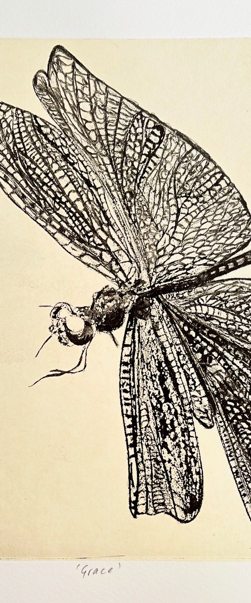 Grace by Michelle Hinshelwood