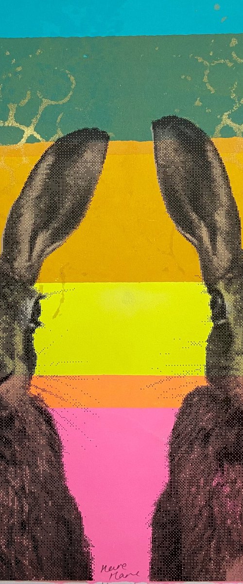 Hare Hare AP by Charlotte Gerrard