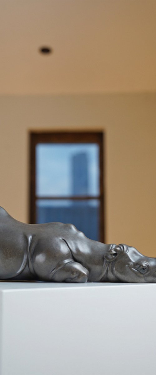 The story of the rhinoceros by Zhao Yongchang 赵永昌