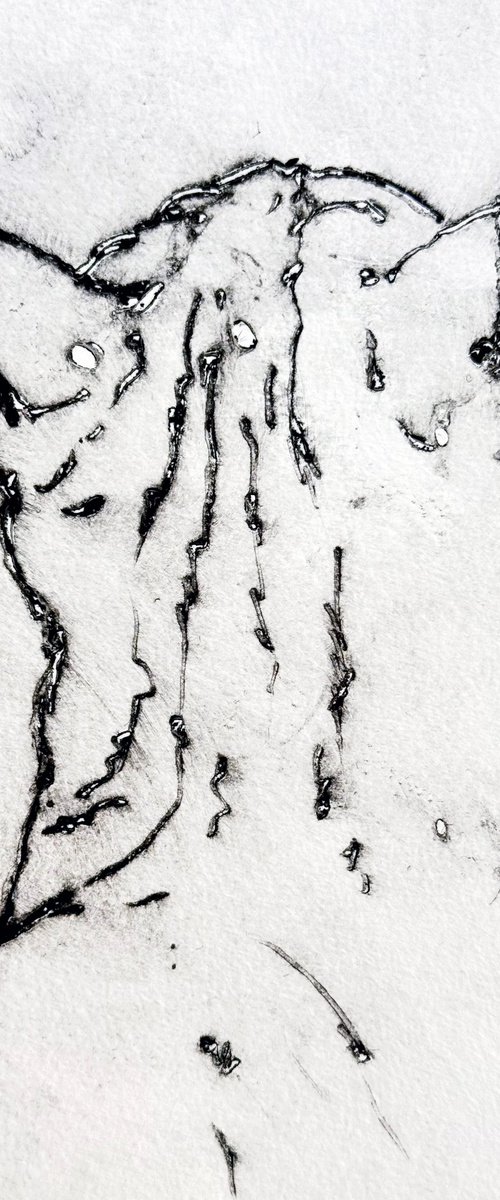 Cat by Randi Antonsen