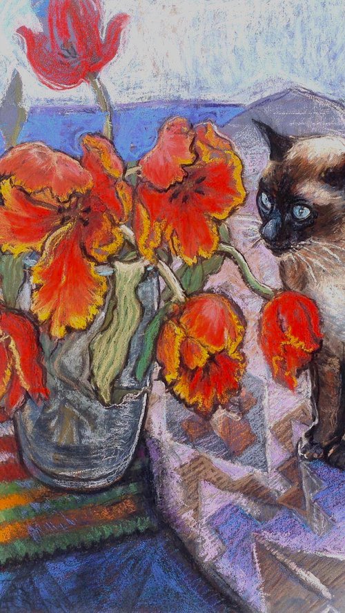 Bob the visitor by Patricia Clements