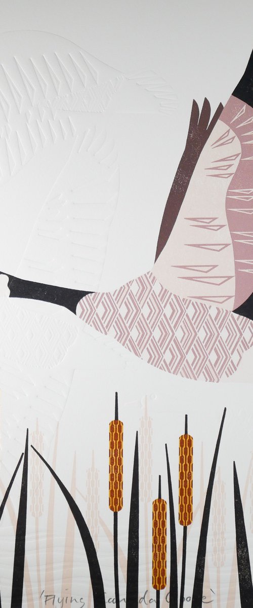 Flying Canada Goose by Ashley Hutchinson