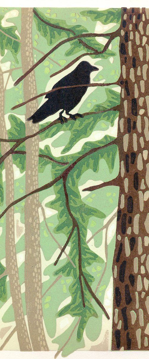 Who's Watching Whom by Kate Goetz