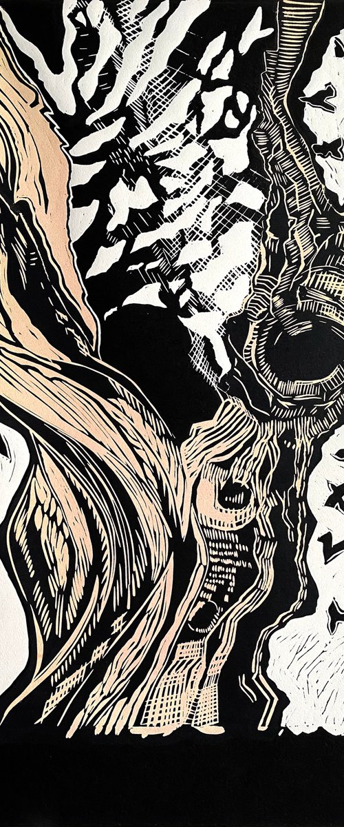 Weathered Wisdom by Helen Boden