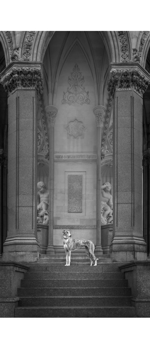 Greyhounds of London IV by Elena Marchi