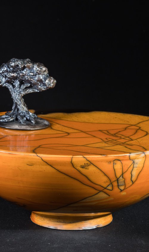 Holm Oak in Silence by Iñaki San