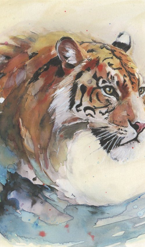 Ocean by Maurizio Puglisi