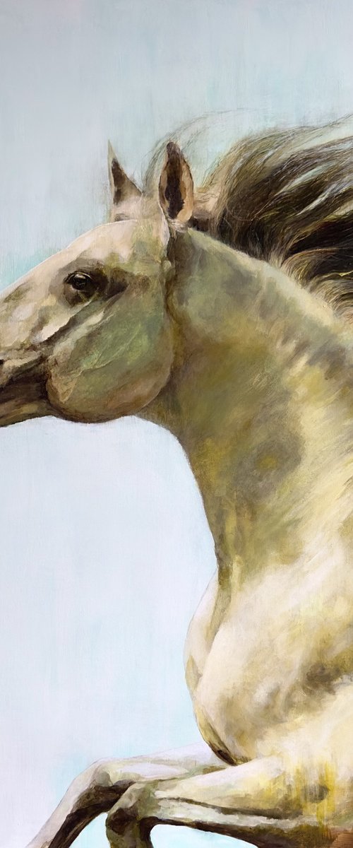 Run to the Sun by Paul Hardern