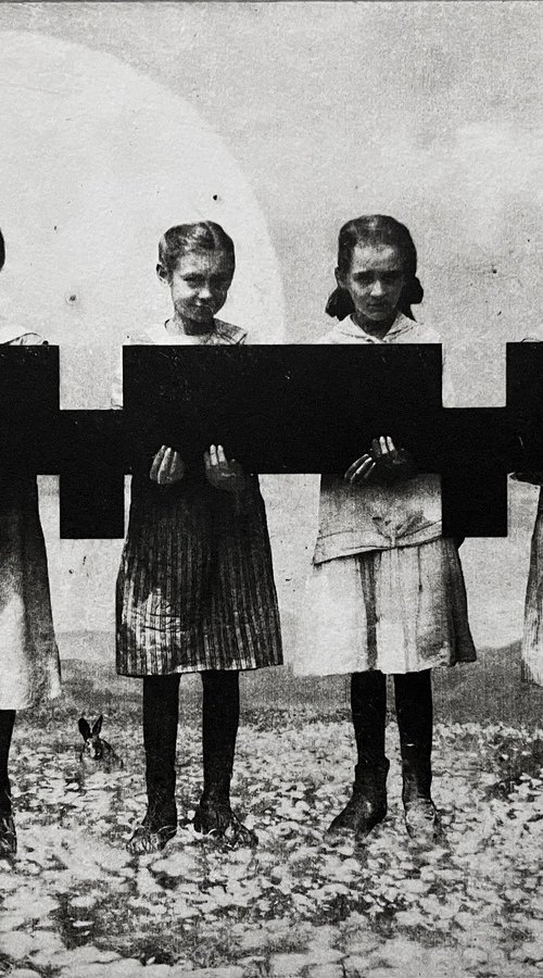 The Anaconda by Jaco Putker