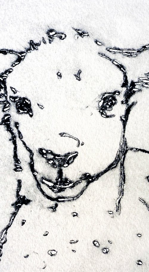 Lamb by Randi Antonsen