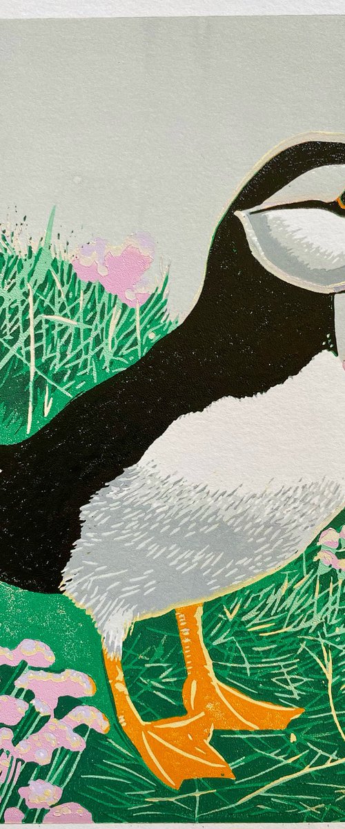 Puffin and Sea Pinks by Lindsay Perrett
