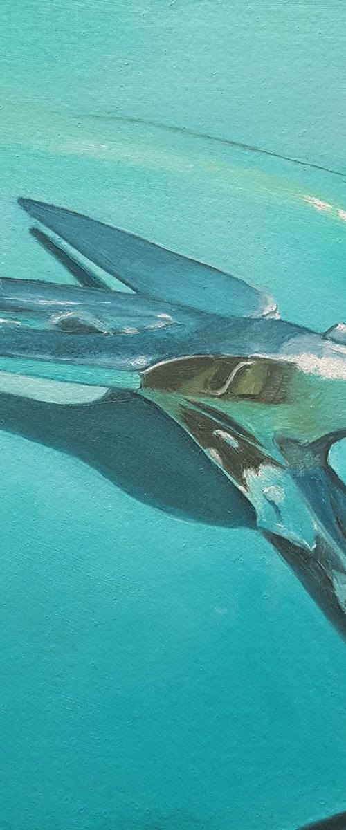 1953 Chevy by Carmen Badeau