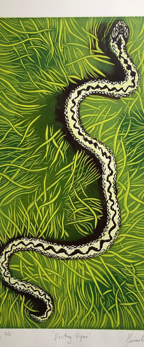 Visiting Viper by Marian Carter