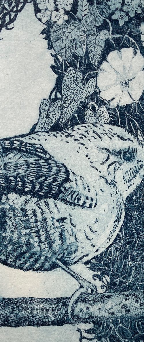 Wren in the hedgerow by Janis Goodman