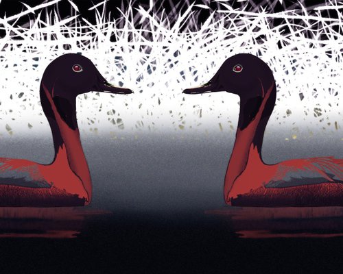 Water birds by Hilde Hoekstra