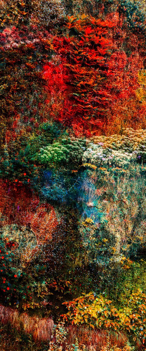 Wall of Nature LXVII (Framed) by Viet Ha Tran