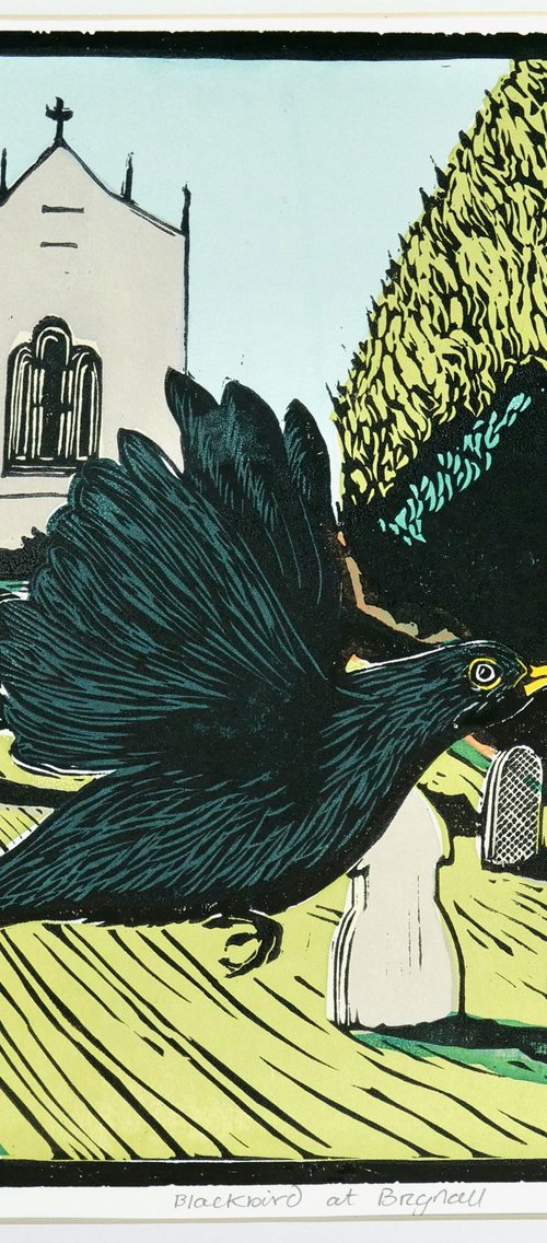 Blackbird at Brignall by Keith Alexander