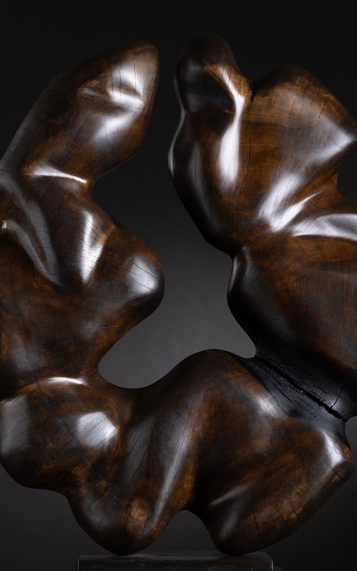 Fuego by Robert Houser