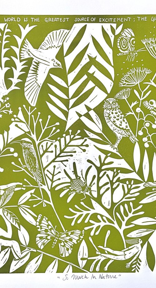 So Much In Nature by Alison  Headley