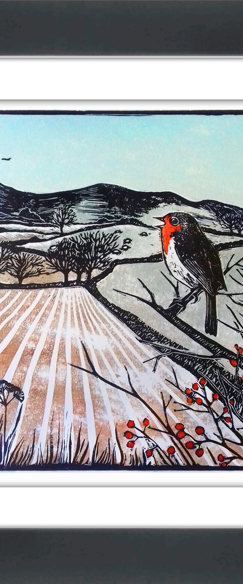 Robins' Song by Carolynne Coulson