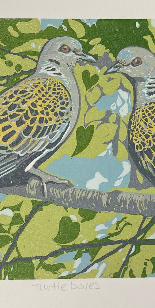 Turtle Doves by Lindsay Perrett
