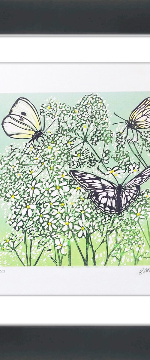 Papillion by Carolynne Coulson