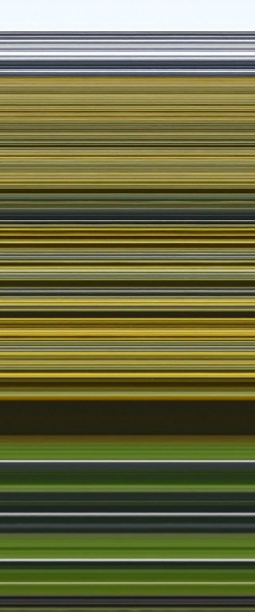 I WAS THERE - Sunflower Field by Richard Jones & Chieko Jones