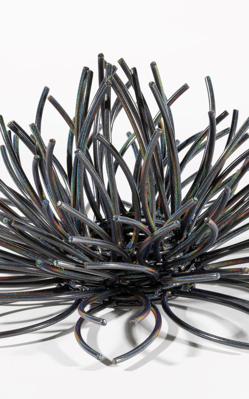 Burst by Andrea Mulcahy