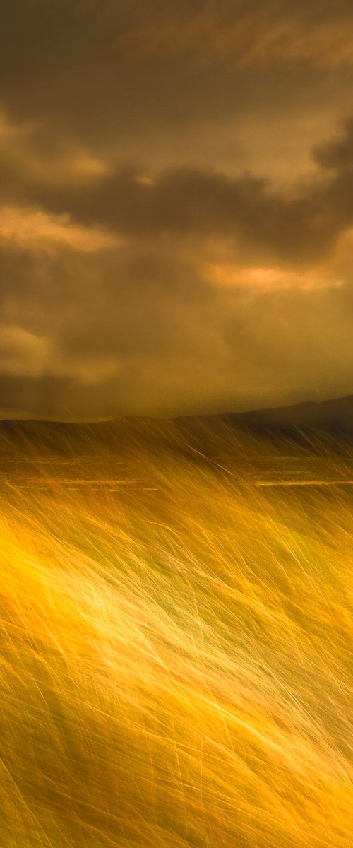 The Land I Love, Skye by Lynne Douglas