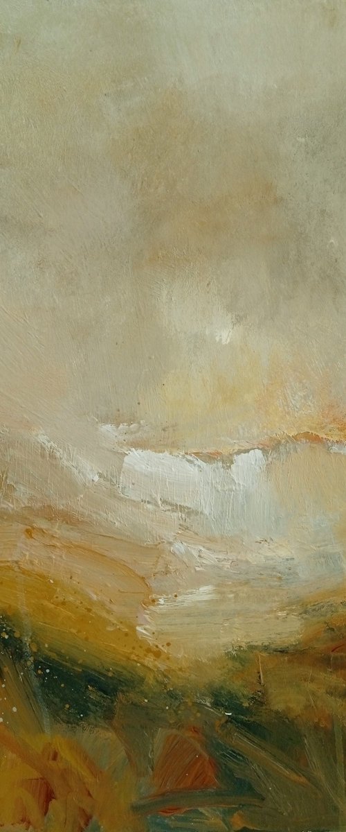 Warm Evening, Parkgate Marshes by Fiona Philipps