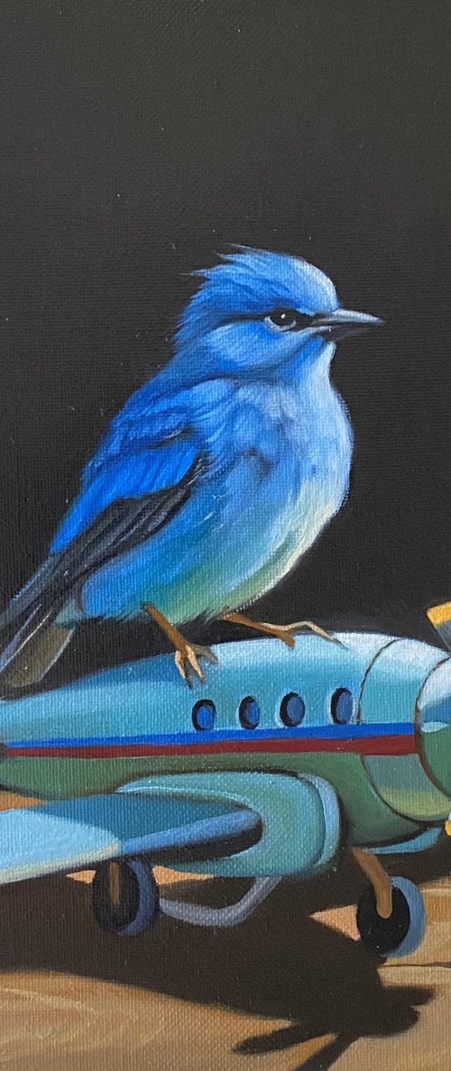 Flight of Dreams by Ara Gasparian