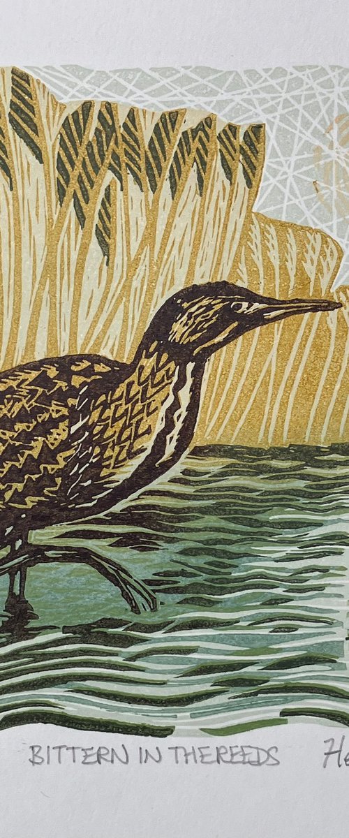 Bittern in the Reeds by Helen Maxfield