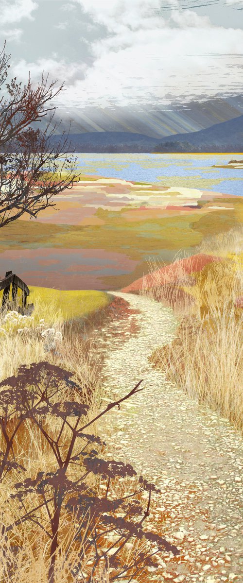 Shadow Trees by Claire Gill