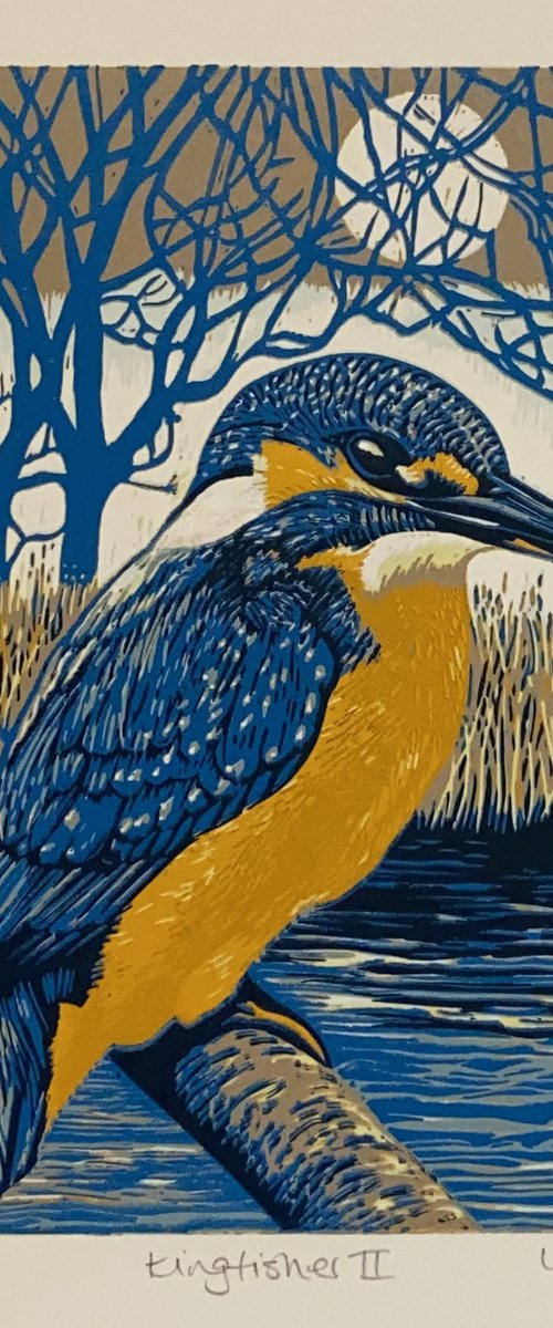 Kingfisher II by Lindsay Perrett