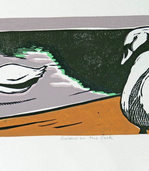Swans in the Park by Keith Alexander