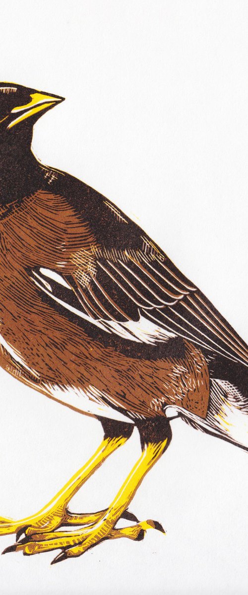 Waldo by Georgia Flowers