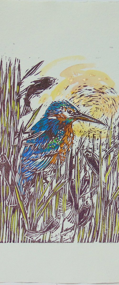 Kingfisher linocut, A3 by Kirsten Schmidt