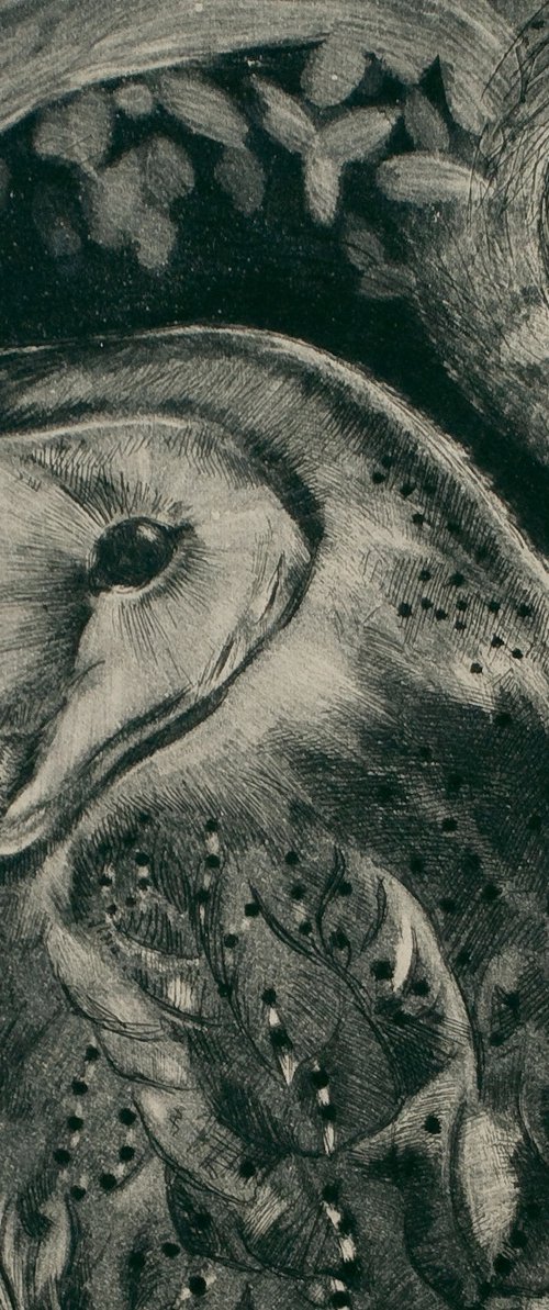 Barn Owl Etching by Isabel Hutchison