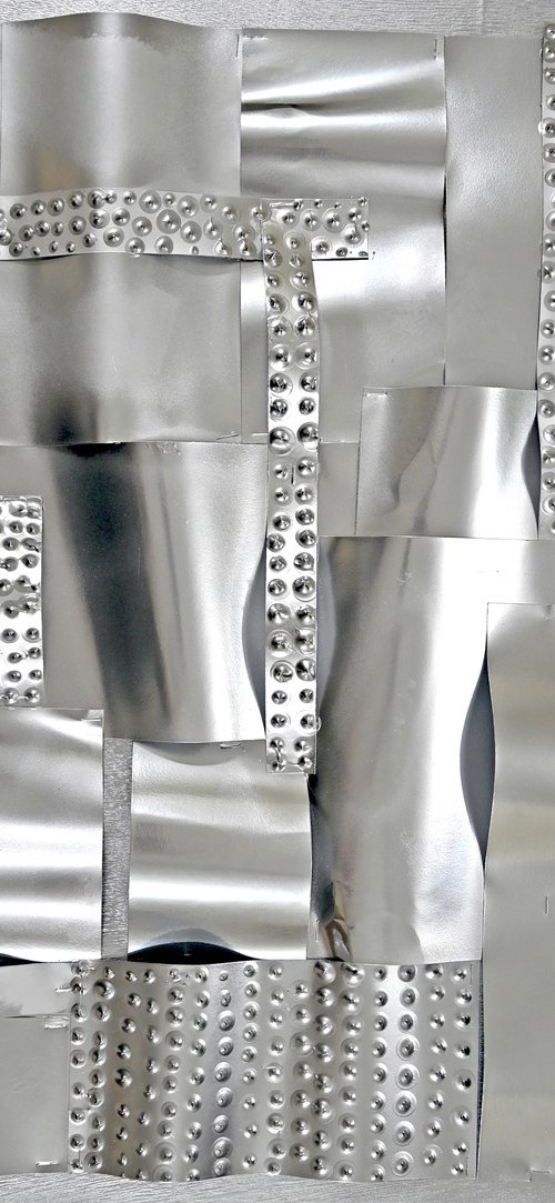 Chromia elatus by Sumit Mehndiratta