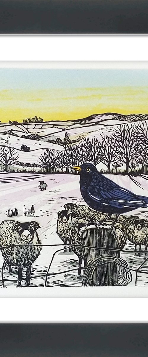 Evensong by Carolynne Coulson