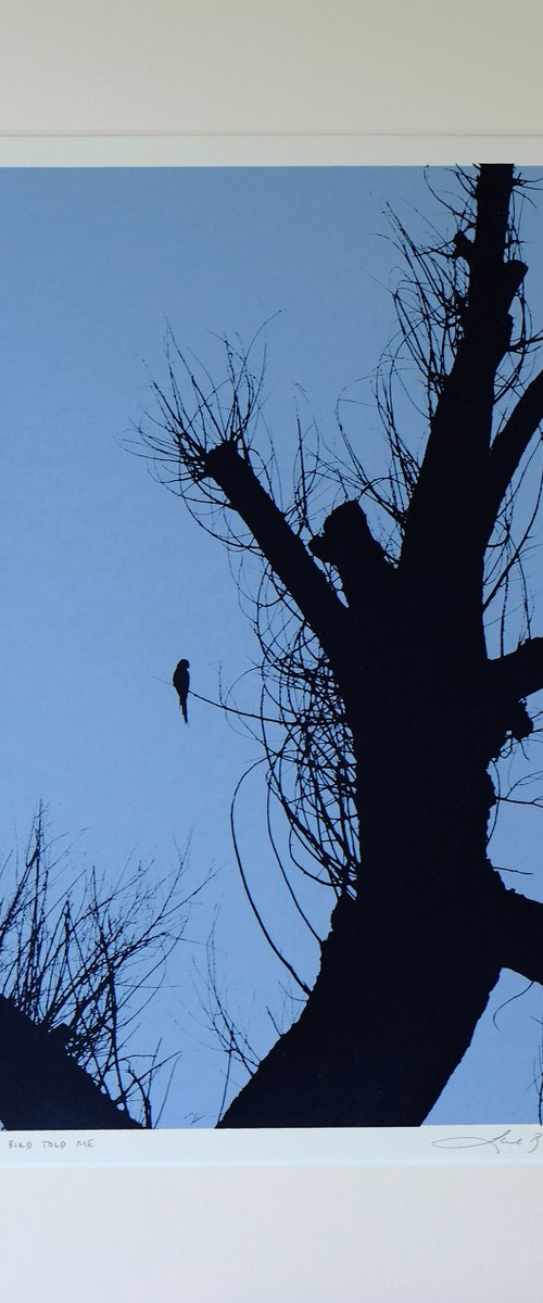 A little bird told me by Lene Bladbjerg